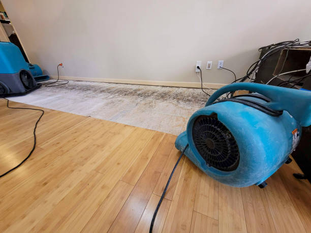 Professional Water Extraction technician working in Mount Vernon, SD